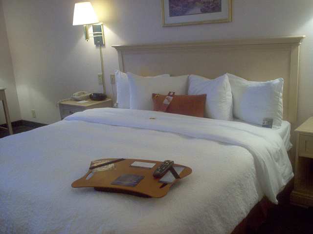 Hotel Hampton 3*